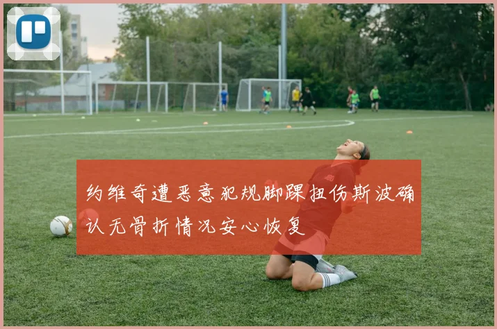 约维奇遭恶意犯规脚踝扭伤斯波确认无骨折情况安心恢复