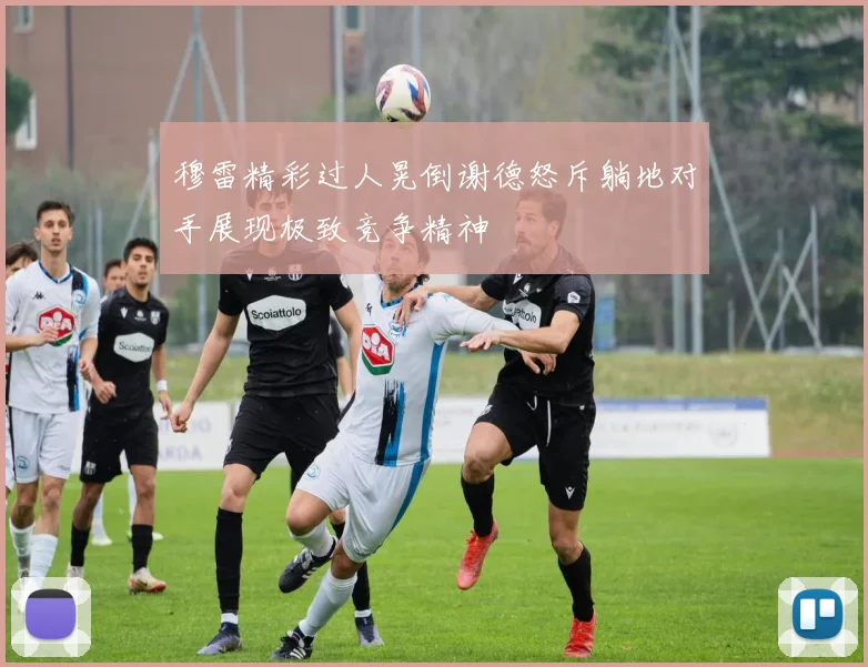 穆雷精彩过人晃倒谢德怒斥躺地对手展现极致竞争精神